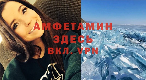 амф Аркадак
