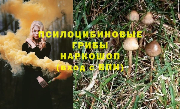 амф Аркадак