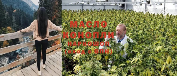 экстази Арсеньев