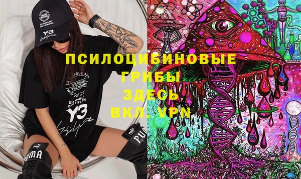 экстази Арсеньев