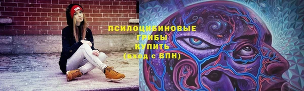 амф Аркадак
