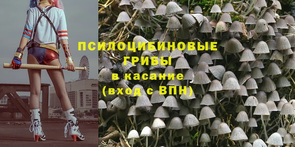 таблы Армянск